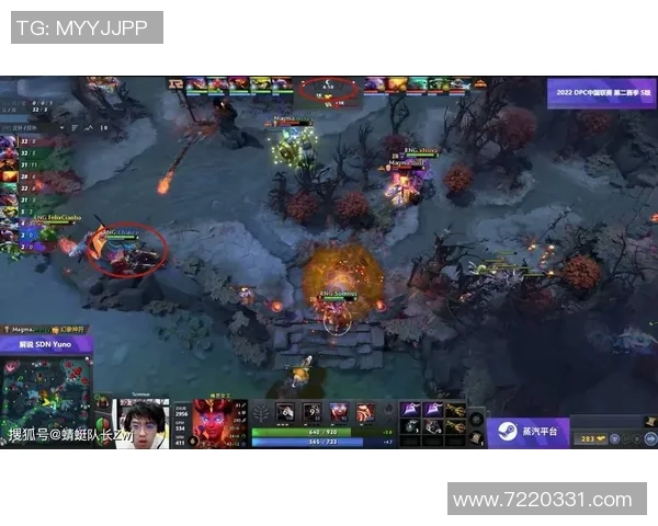 DOTA2热点：解读RNG的盯防