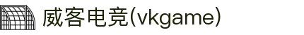 威客电竞(vkgame)-为竞技而生